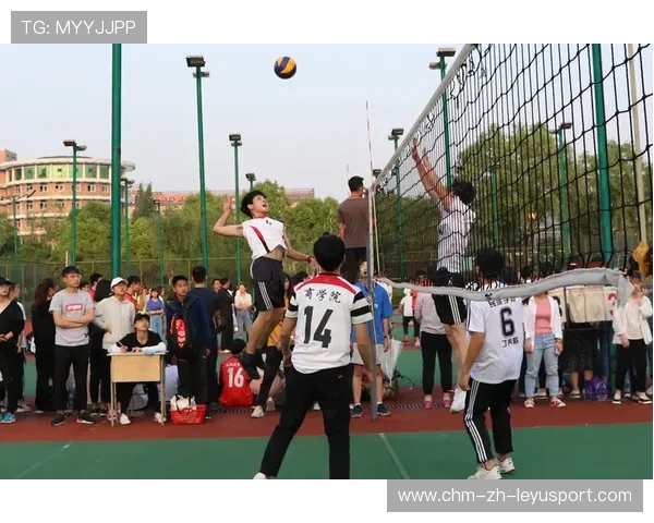 “福乐球激烈角逐，新都香城赛场精彩纷呈”